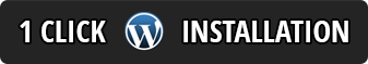 First-Class WordPress Hosting Solutions First-Class WordPress Hosting Solutions